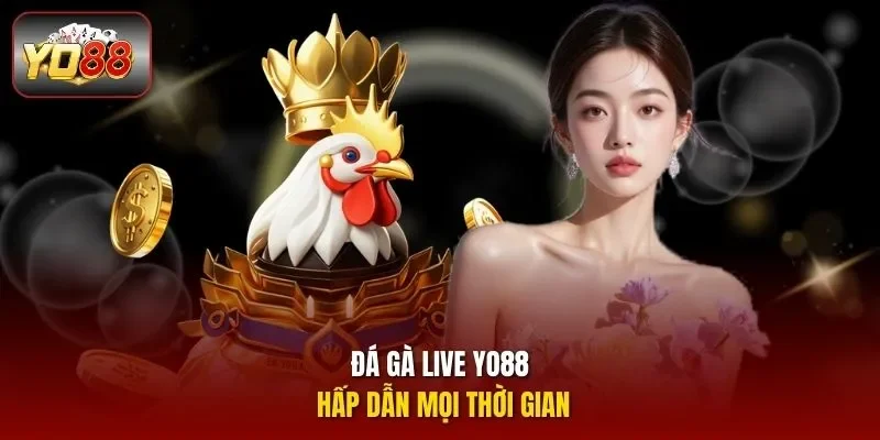 Đá Gà live Yo88 hấp dẫn mọi thời gian