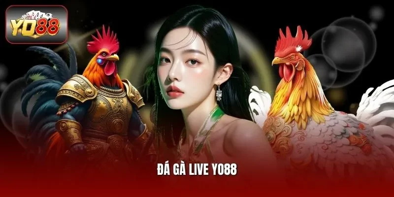 Đá Gà live Yo88