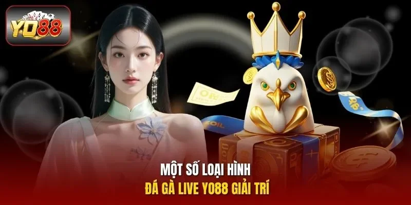 Một số loại hình đá gà live Yo88 giải trí 
