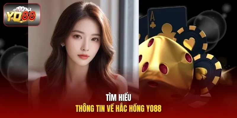 Tìm hiểu thông tin về Hắc Hồng Yo88